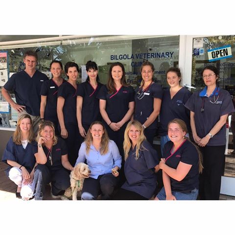Bilgola Veterinary Clinic - Bilgola Plateau , Australia