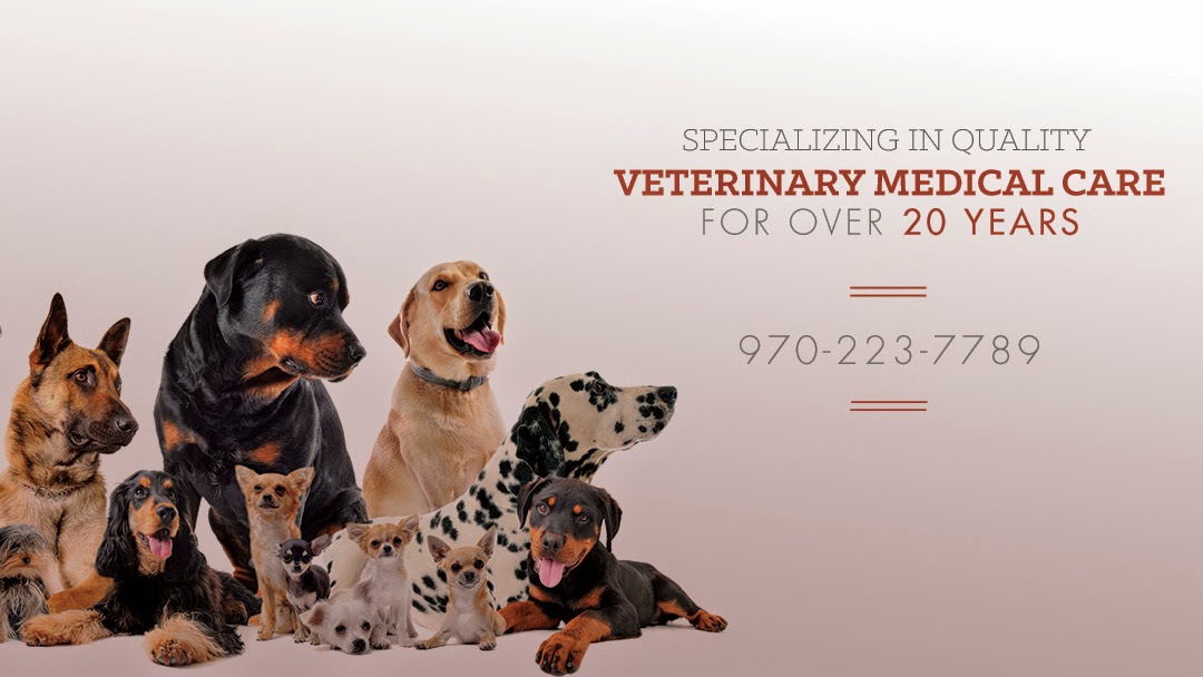 Countryside Animal Hospital - Fort Collins , United States