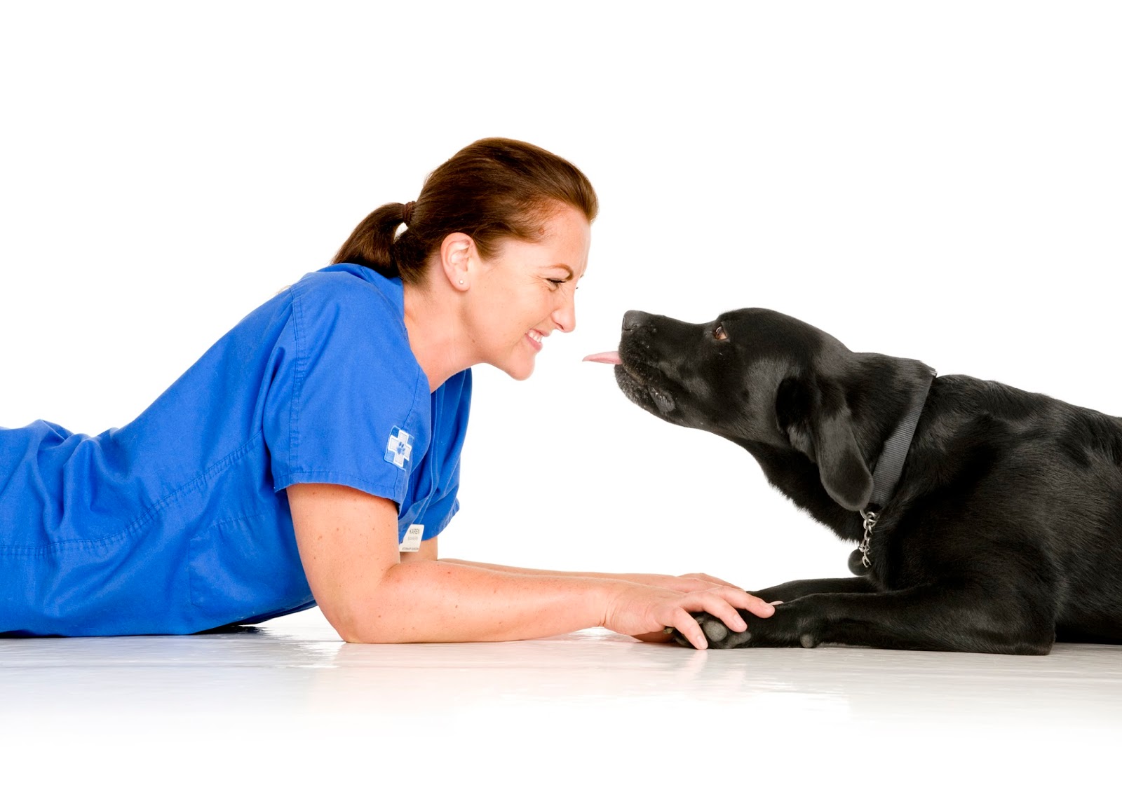 White Cross Vets - Oldbury , United Kingdom