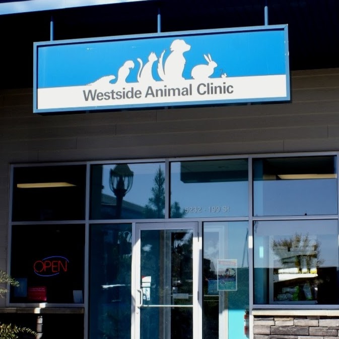 Westside Animal Clinic Inc - Edmonton , Canada