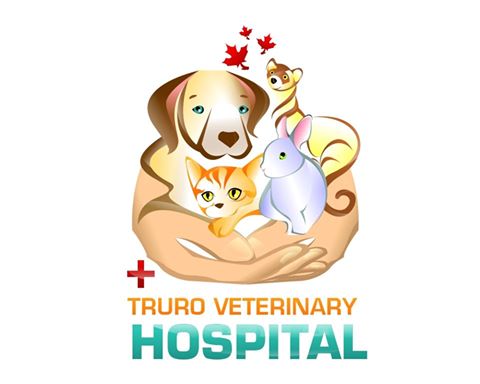 Truro Veterinary Hospital - Truro , Canada