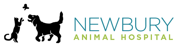 Newbury Animal Hospital - Newbury , United States