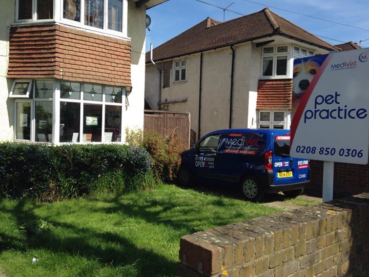 Medivet Sidcup Halfway St - Sidcup , United Kingdom