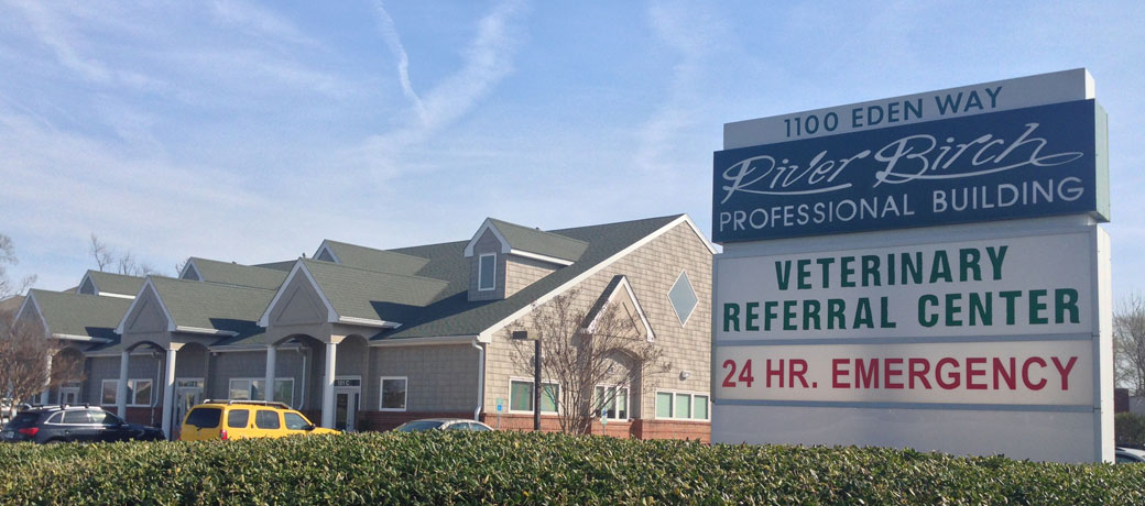Greenbrier Veterinary Referral Center - Chesapeake , United States