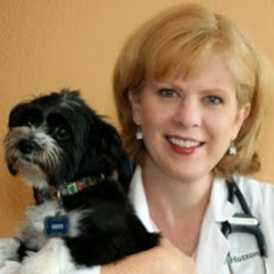 All Creatures Veterinary Center - Carrollton , United States