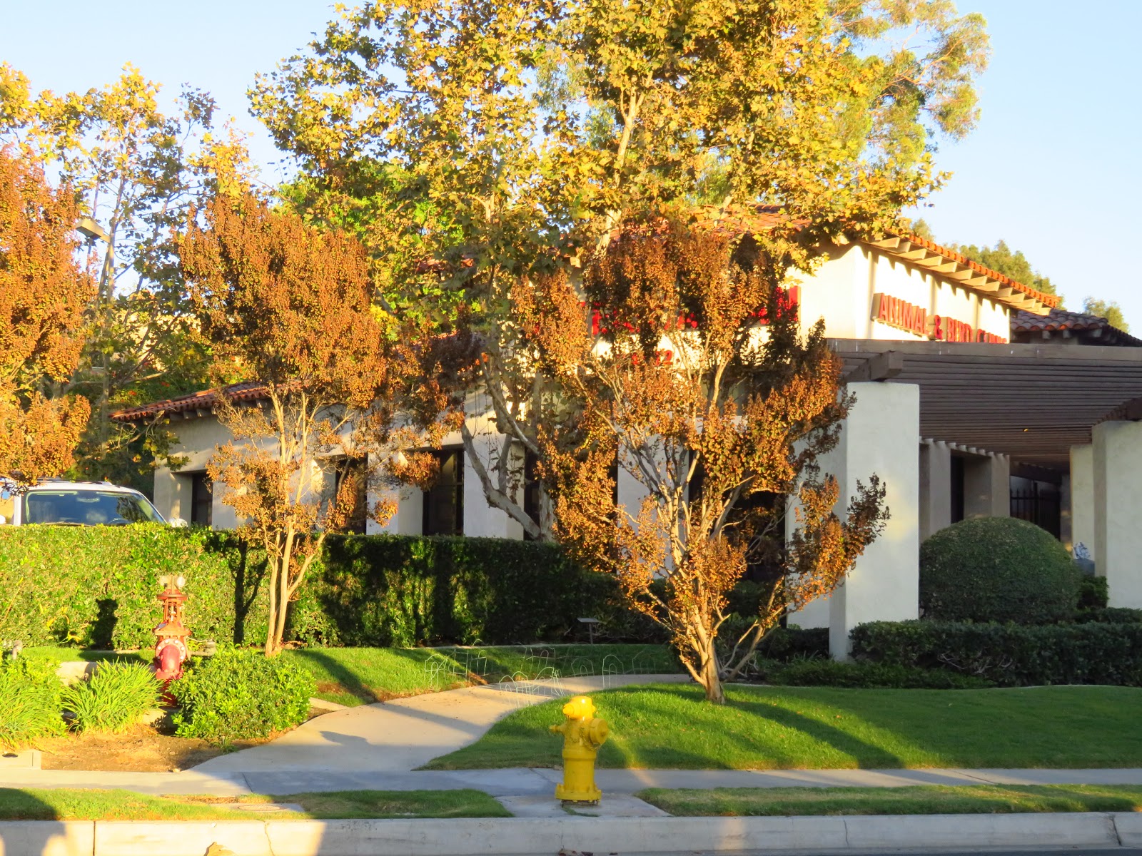 Animal And Bird Clinic Of Mission Viejo - Mission Viejo , United States