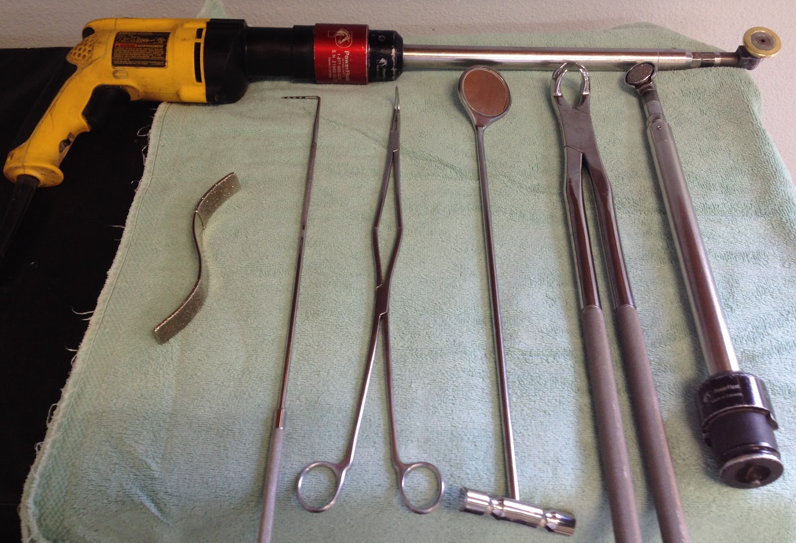Tacoma Equine Hospital - Tacoma , United States