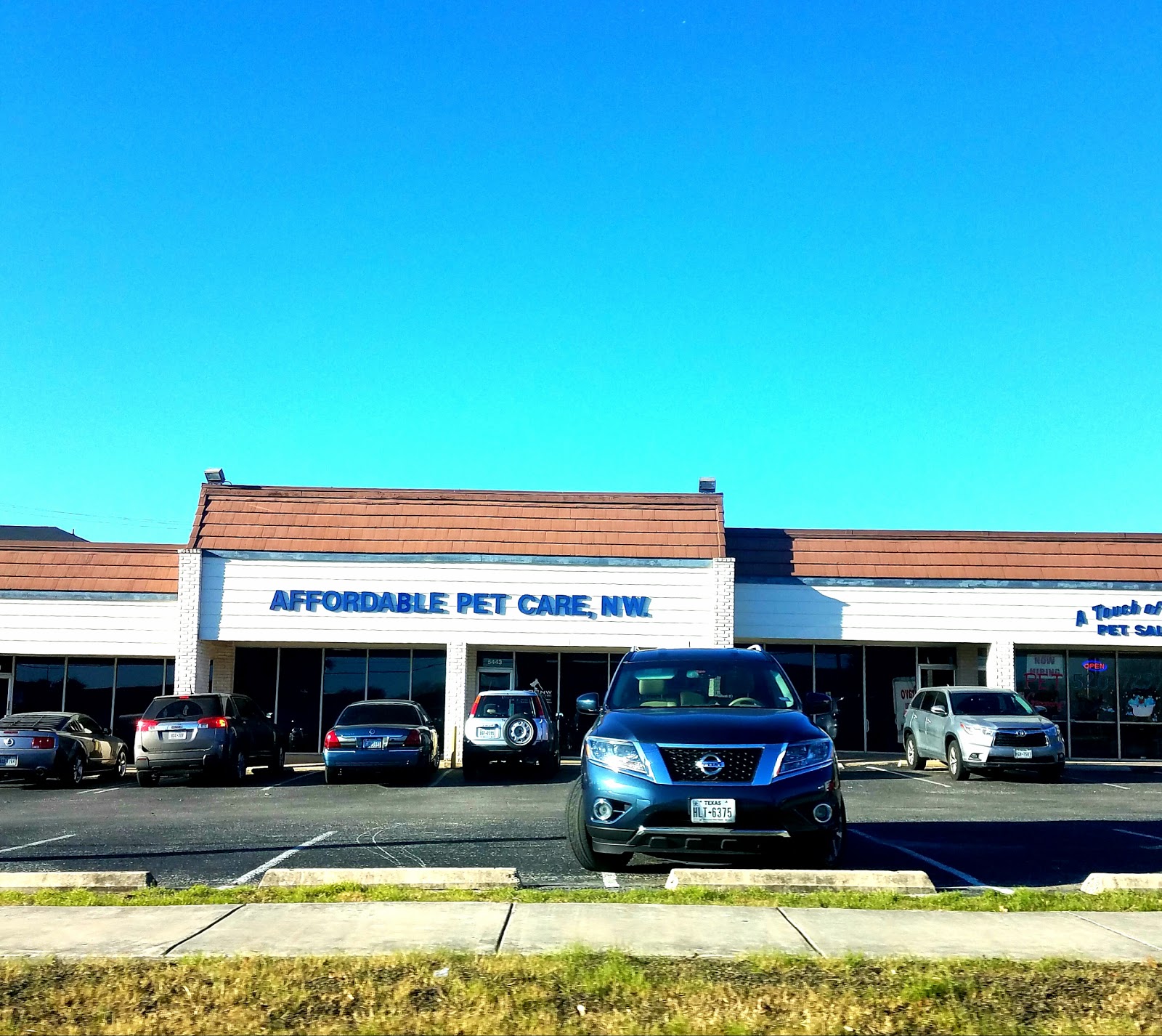 Covenant Care Animal Hospital A Thrive Pet Healthcare Partner - Leon Valley , United States