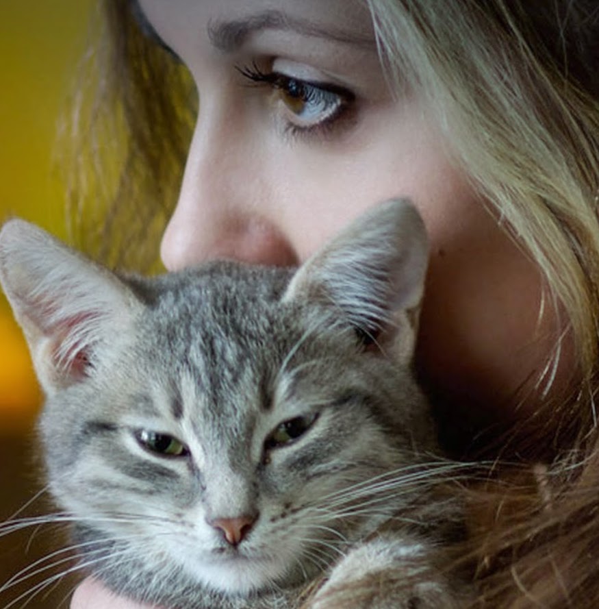 Vca Northpointe Animal Hospital - Yuba City , United States