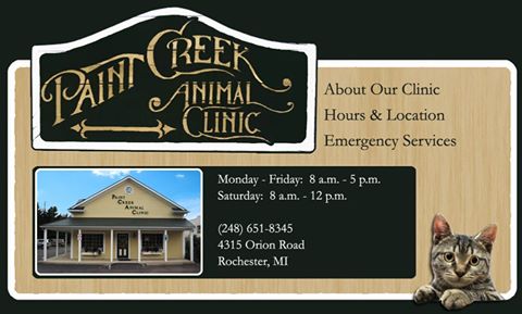 Paint Creek Animal Clinic - Rochester , United States