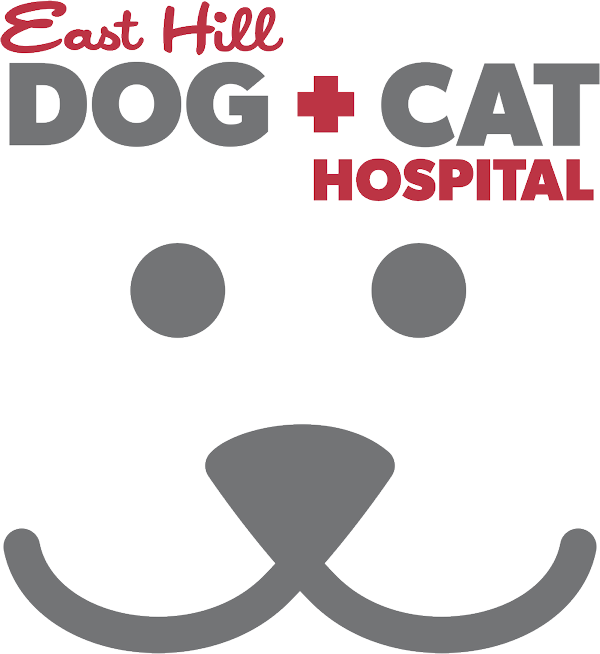 Dog And Cat Hospital East Hill - Red Deer , Canada