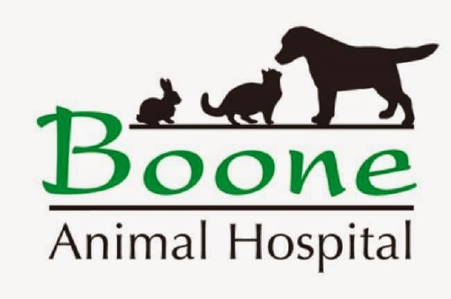 Vca Boone Animal Hospital - Western Springs , United States