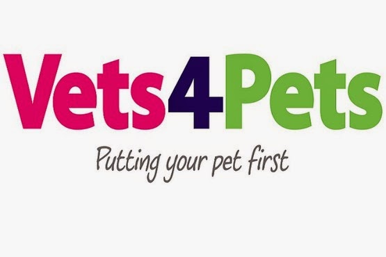 Vets For Pets Kirkcaldy - Kirkcaldy , United Kingdom