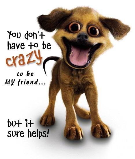 Four Paws Animal Hospital - Southport , United States