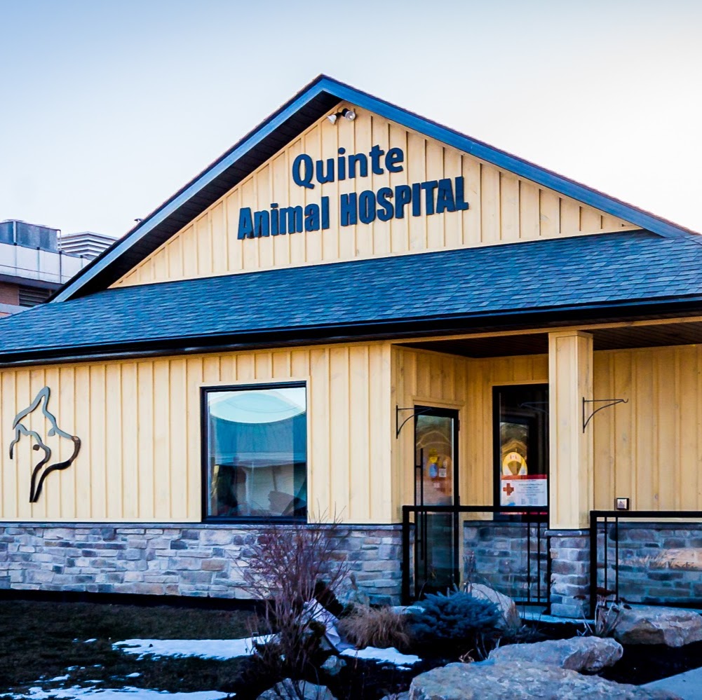 Quinte Animal Hospital - Trenton , Canada
