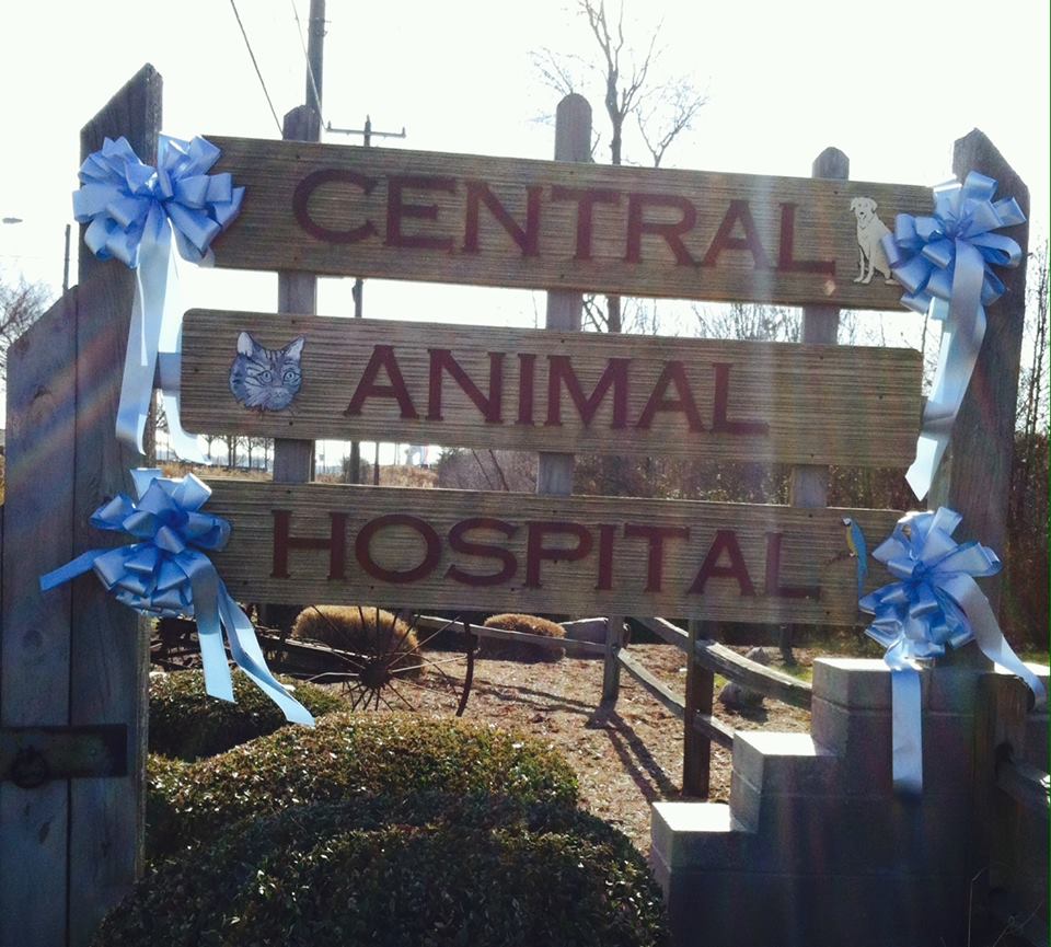 Central Animal Hospital - Eden , United States