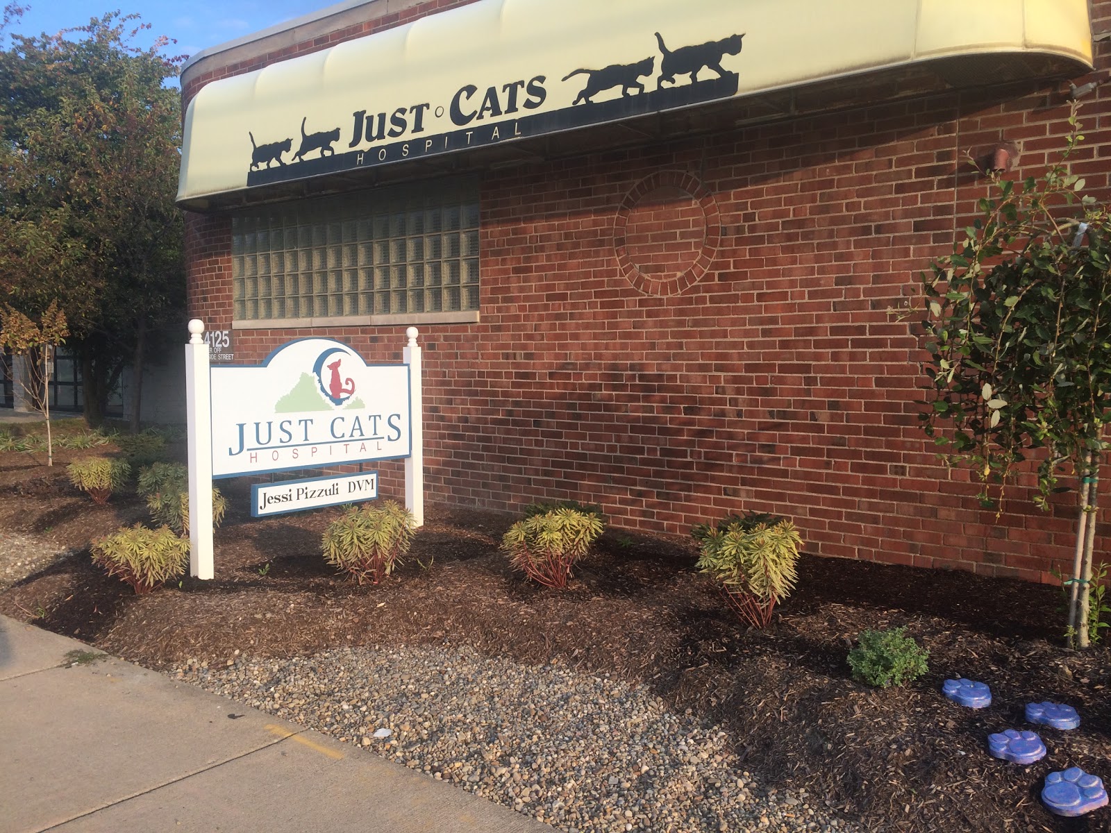 Just Cats Hospital - South Euclid , United States