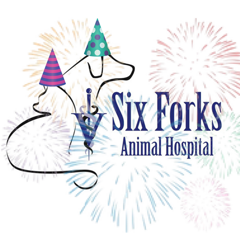 Six Forks Animal Hospital - Raleigh , United States