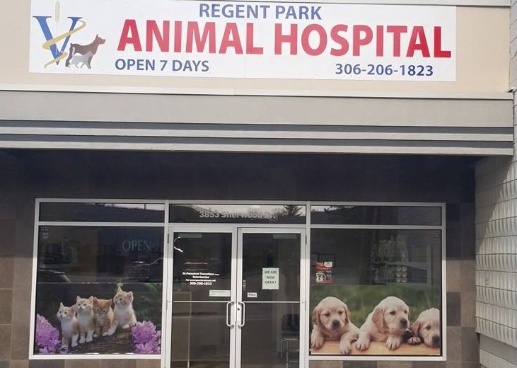 Regent Park Animal Hospital - Regina , Canada