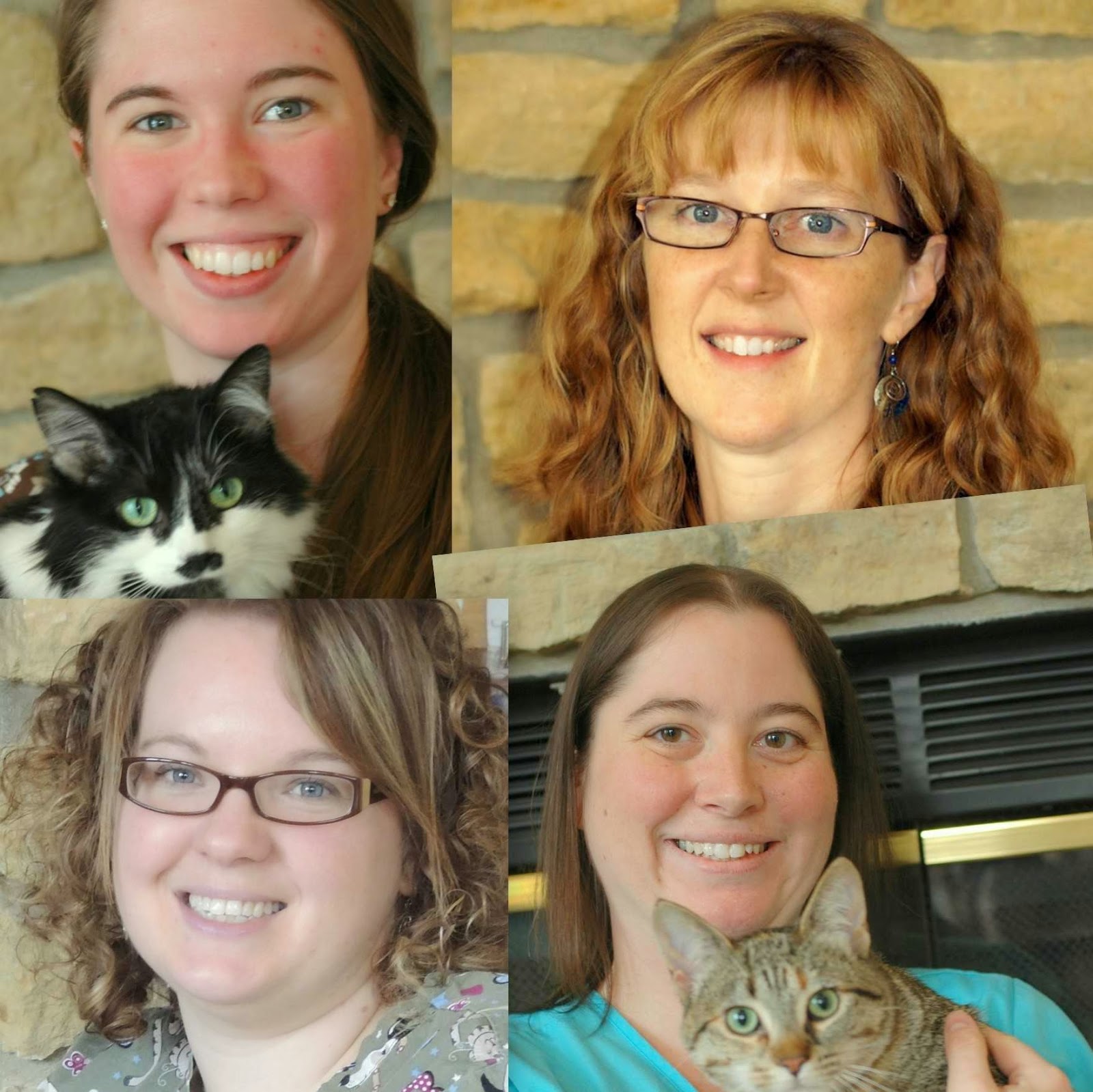Mazomanie Animal Hospital - Mazomanie , United States