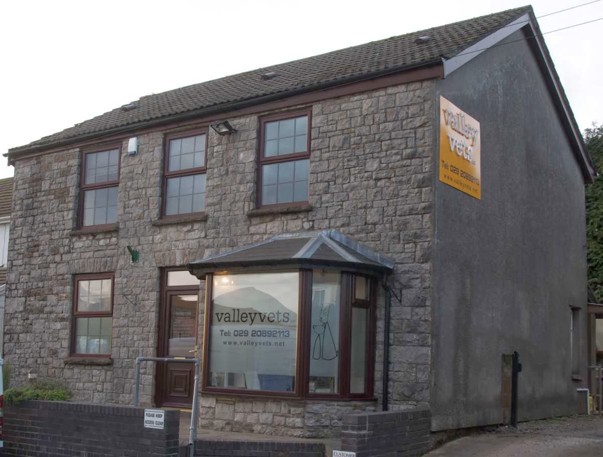Valley Vets - Cardiff , United Kingdom