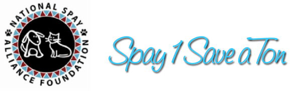 National Spay Alliance Foundation - Dalton , United States