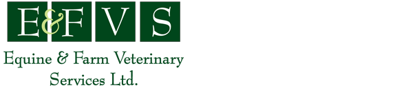 Vets On Riverbank Limited - Otaki , New Zealand