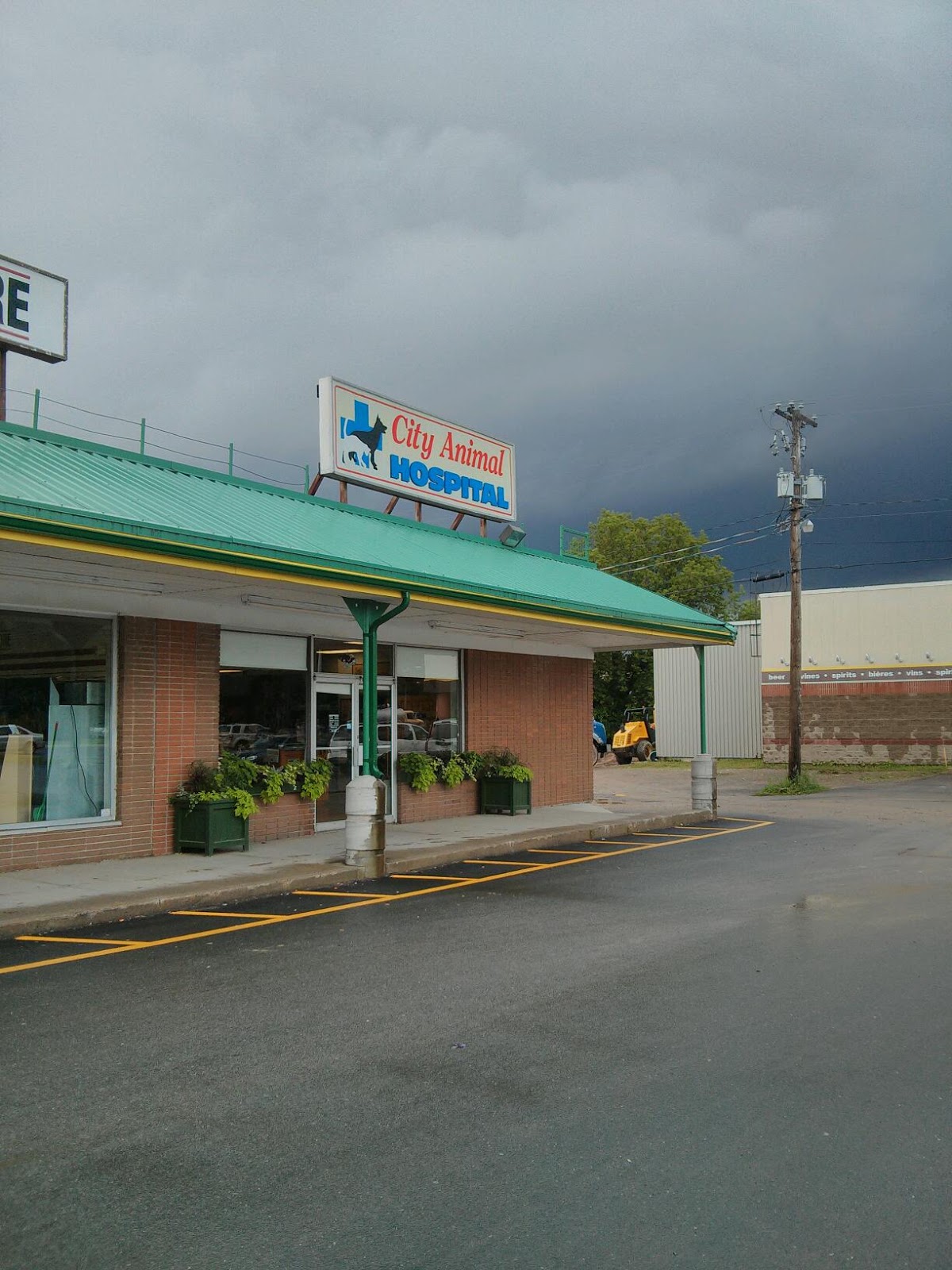 City Animal Hospital - Fredericton , Canada
