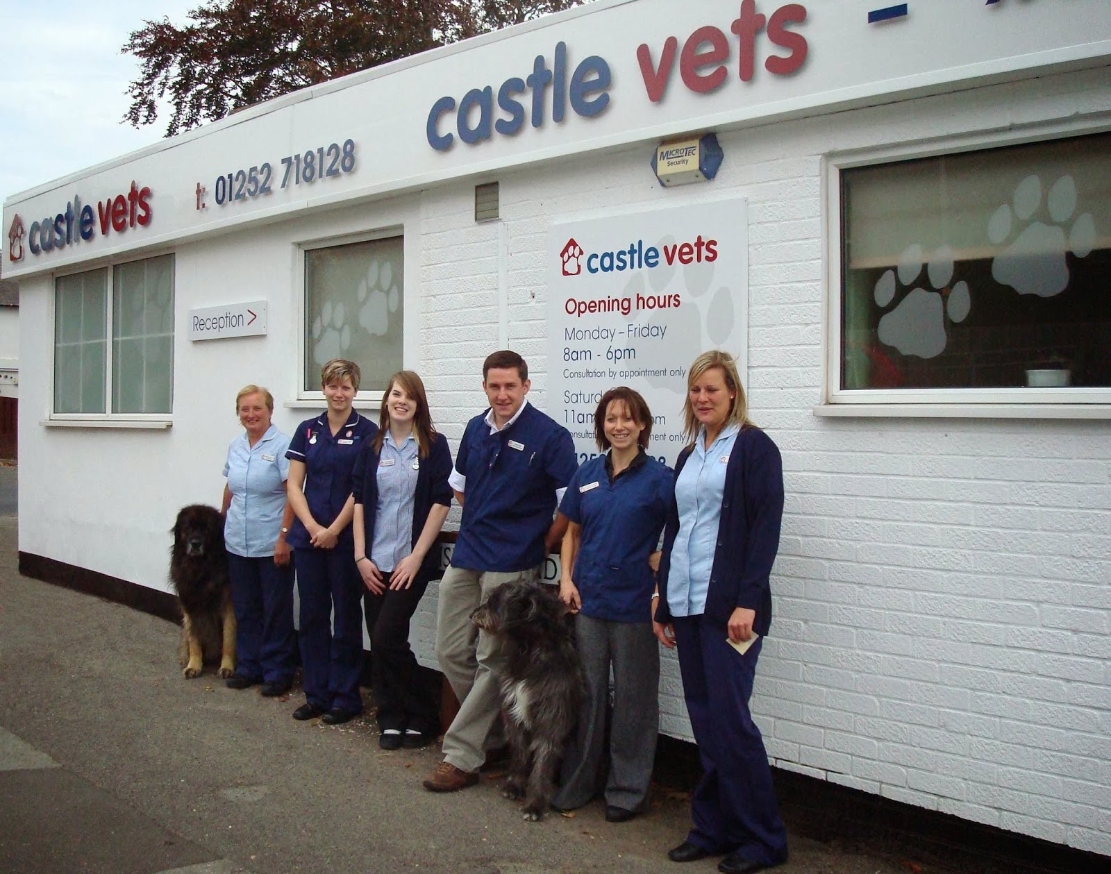 Castle Vets Farnham - Farnham , United Kingdom