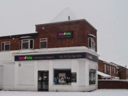 Vets4Pets Bedford - Bedford , United Kingdom