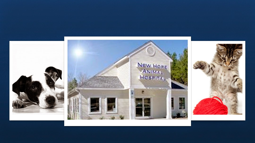 New Hope Animal Hospital - Durham , United States