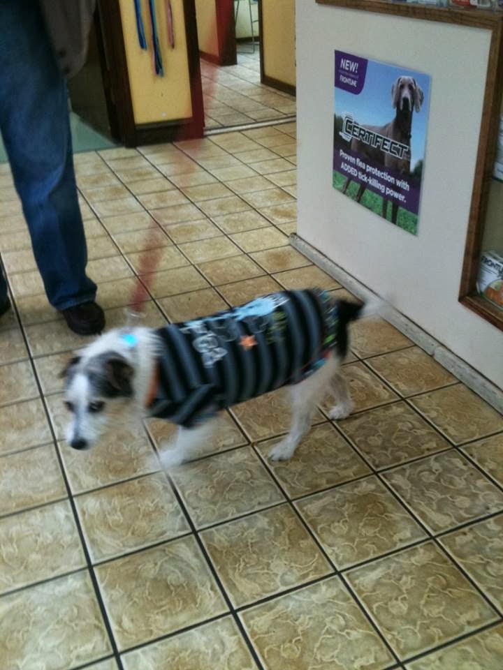 Animal Medical Center I 35 - Edmond , United States