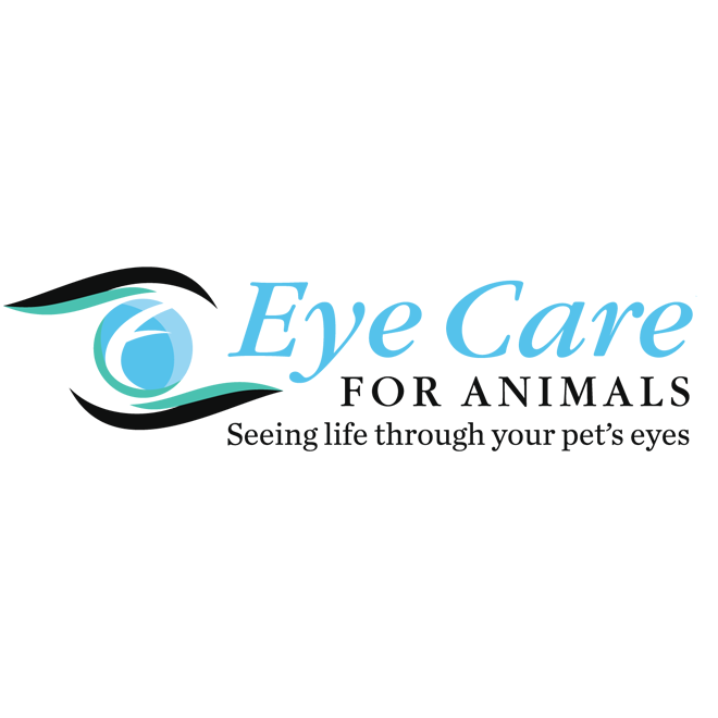Eye Care For Animals Pewaukee - Pewaukee , United States