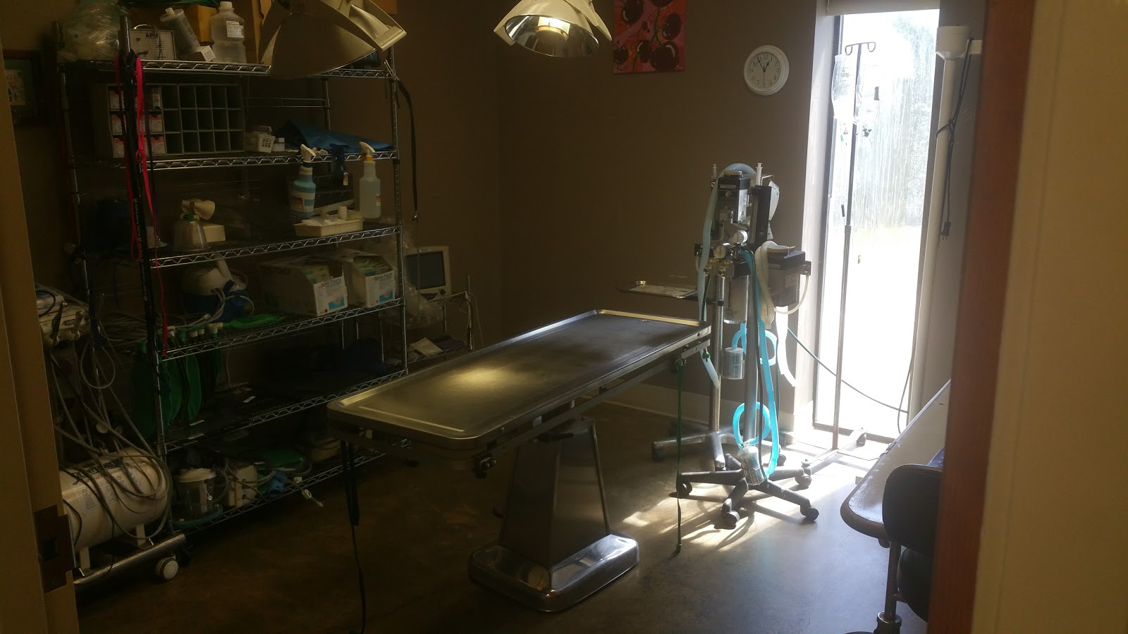 Crossroads Animal Hospital - Moody , United States