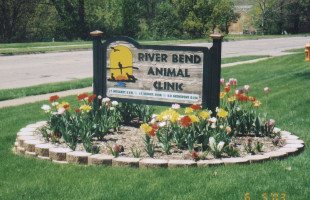 River Bend Animal Clinic Pc - Moline , United States