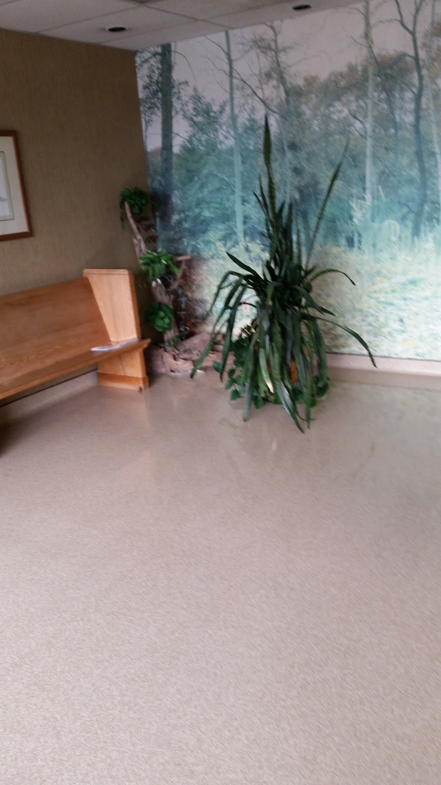 Scruffy City Animal Hospital - Knoxville , United States