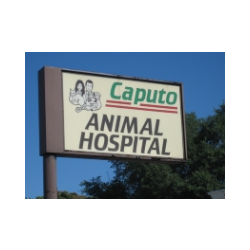 Ford Caputo Veterinary Hospital - Redford Township , United States