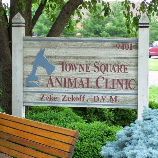 Towne Square Animal Clinic - Blue Ash , United States