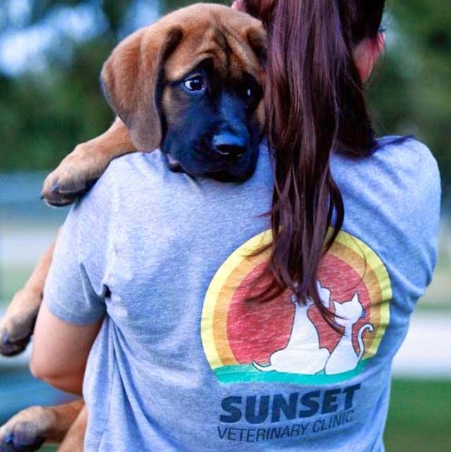 Sunset Veterinary Clinic - Edmond , United States