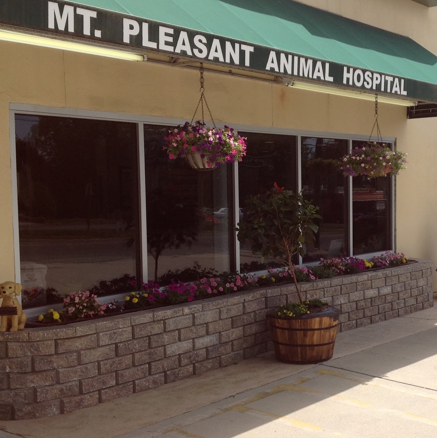Mt Pleasant Animal Hospital - Mt Pleasant , United States