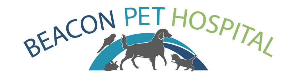 Beacon Pet Hospital - Sidney , Canada