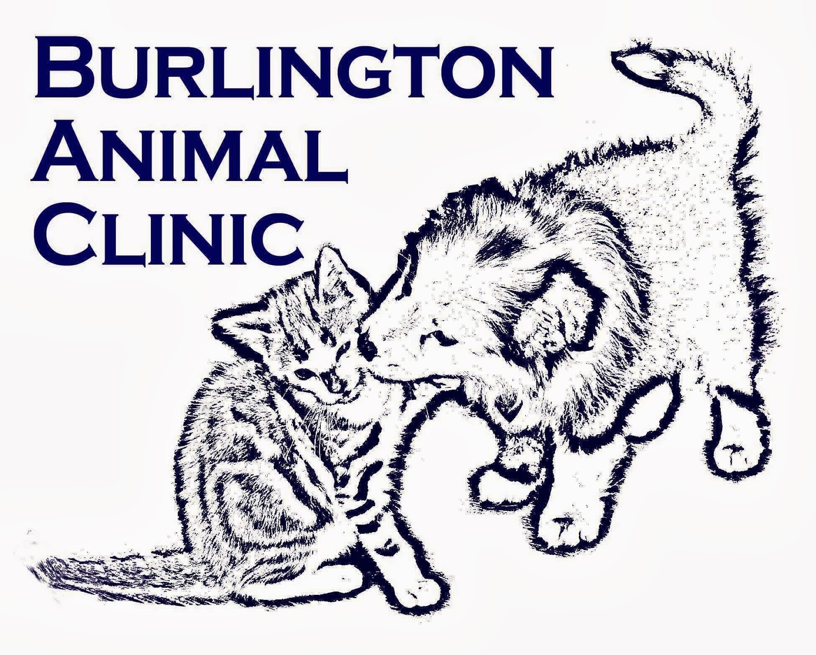 Burlington Animal Clinic - Burlington , United States