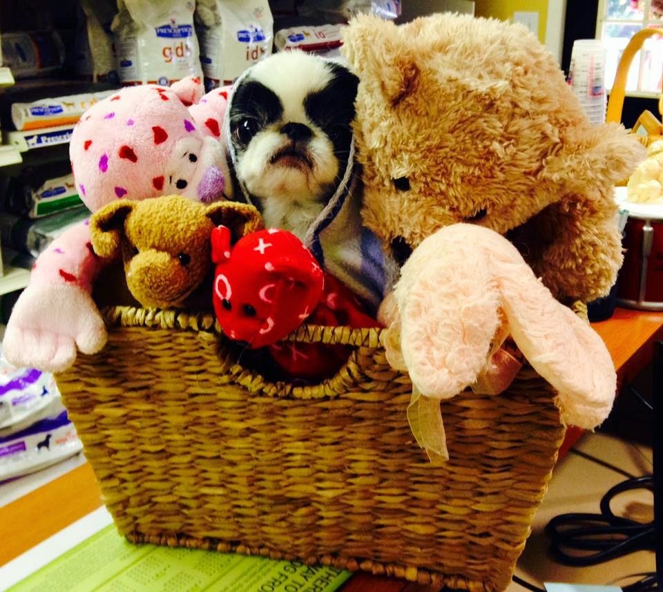 Armadale Animal Hospital - Raleigh , United States