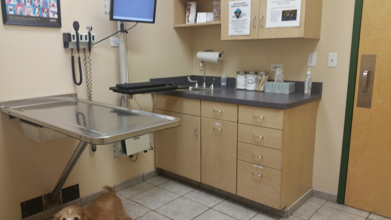 Wheaton Animal Hospital - Glen Ellyn , United States
