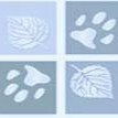 Boston Valley Animal Hospital - Hamburg , United States