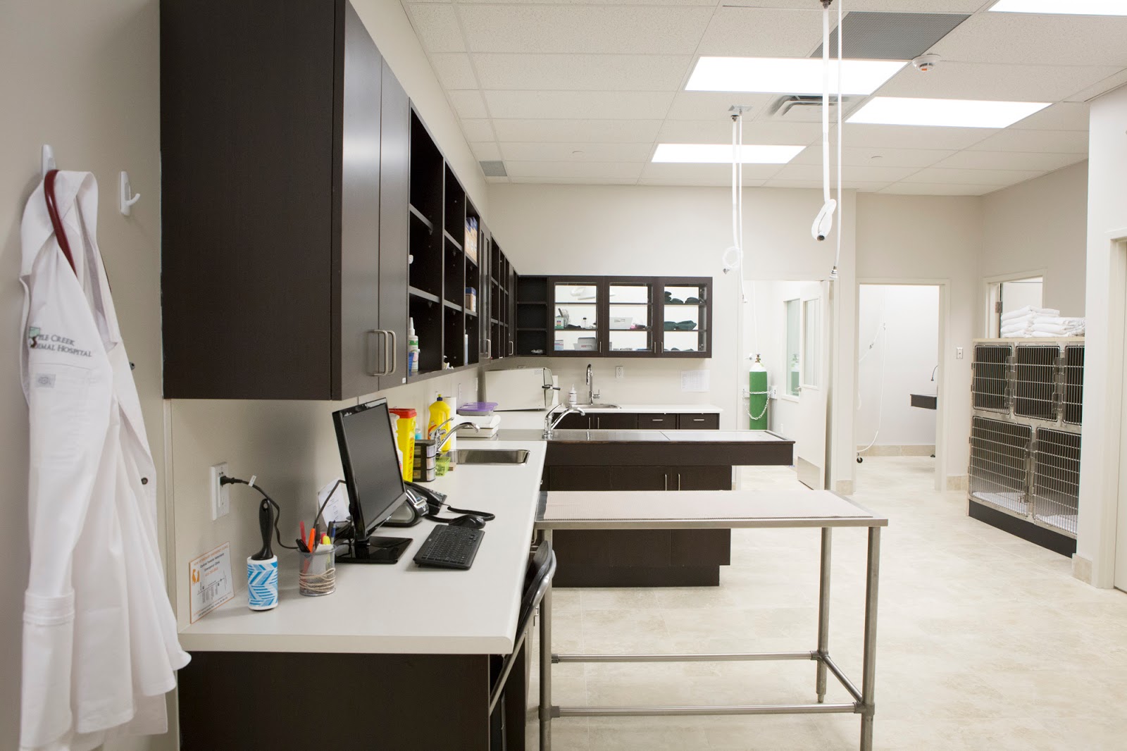 Apple Creek Animal Hospital - Markham , Canada