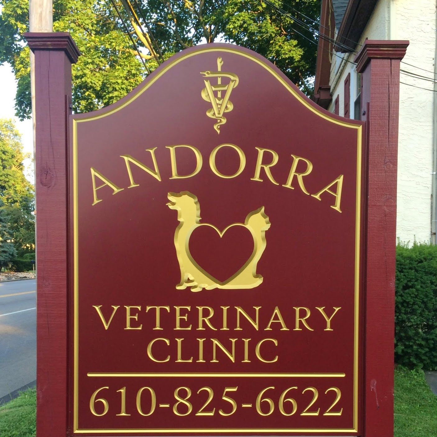 Andorra Veterinary Clinic - Lafayette Hill , United States