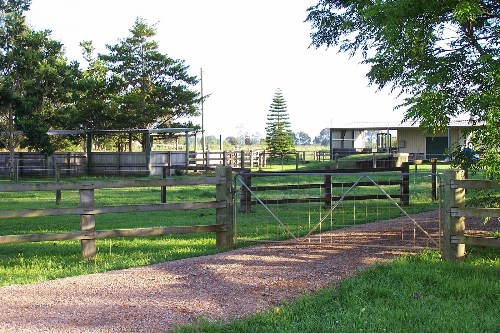 Grafton Veterinary Clinic - Grafton , Australia