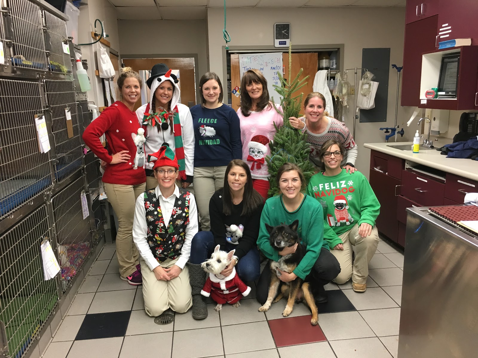 Care First Animal Hospital At Oberlin - Raleigh , United States