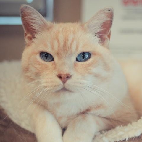 Martensville Veterinary Hospital - Martensville , Canada